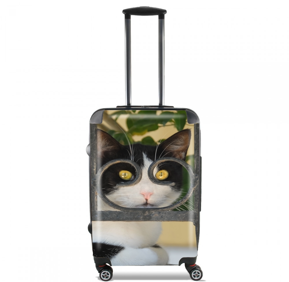 Valise bagage Cabine pour chat avec montures de lunettes, elle voit par la clôture en fer forgé