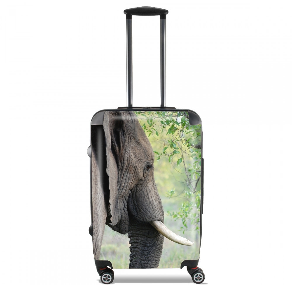 Valise bagage Cabine pour Elephant