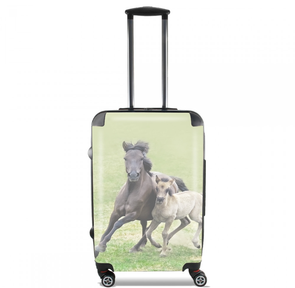 Valise bagage Cabine pour Chevaux poneys poulain