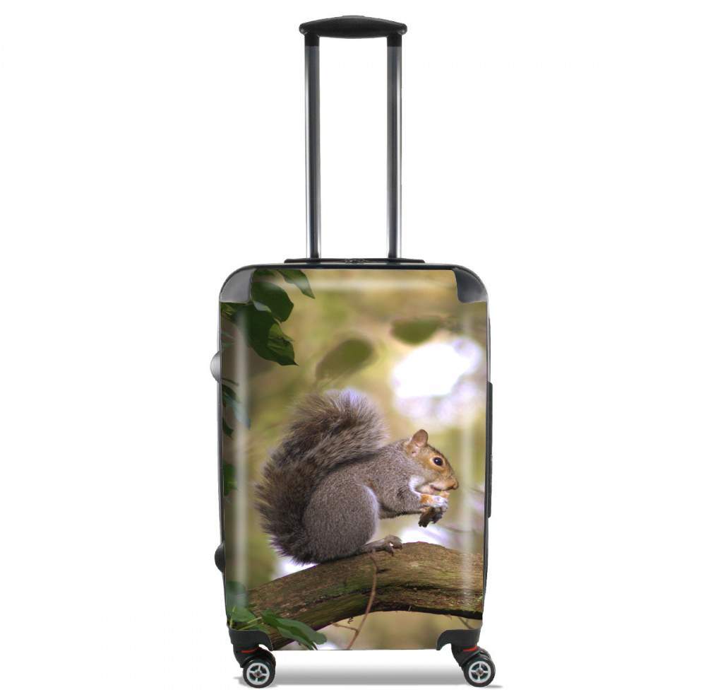 Valise bagage Cabine pour Ecureuil