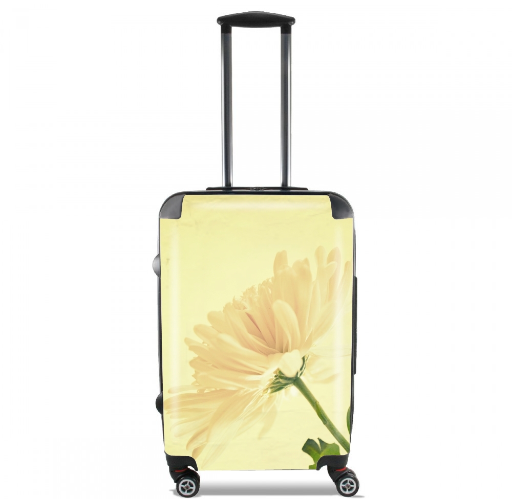 Valise trolley bagage L pour A Revelation