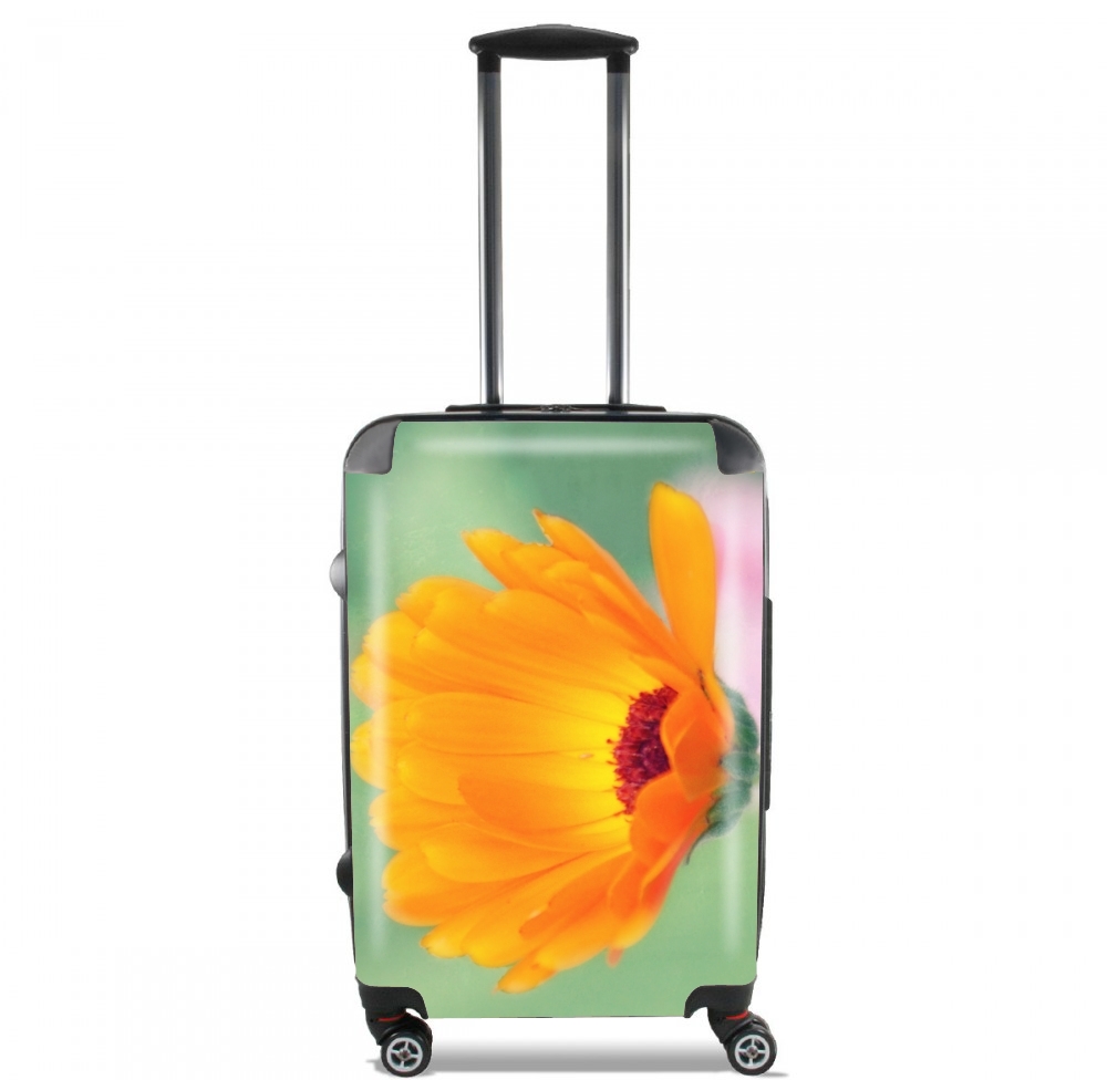 Valise trolley bagage L pour Be Beautiful