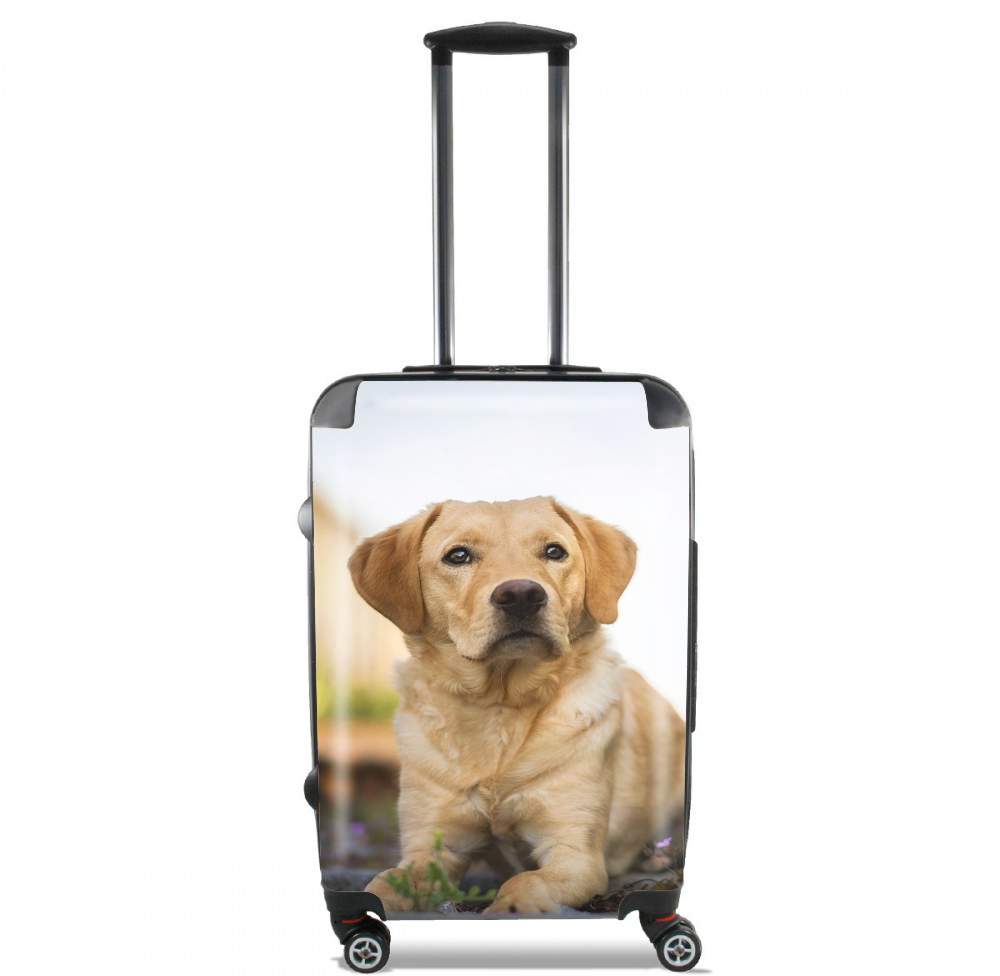 Valise trolley bagage L pour Labrador Dog