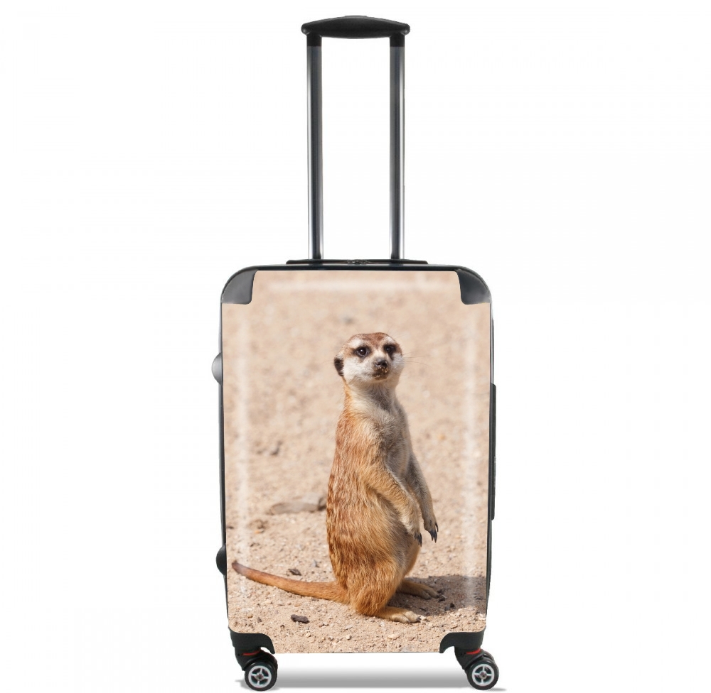 Valise trolley bagage L pour Meerkat