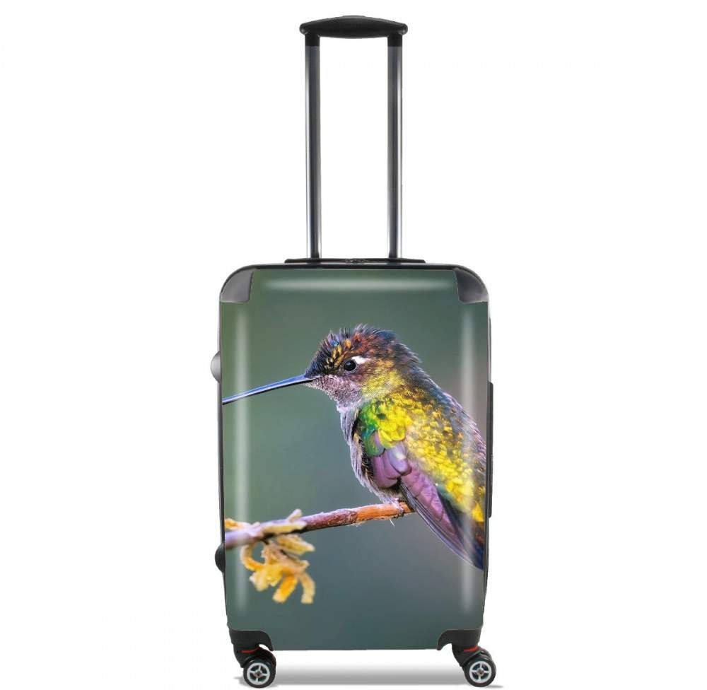 Valise trolley bagage XL pour Colobri Birl Colo