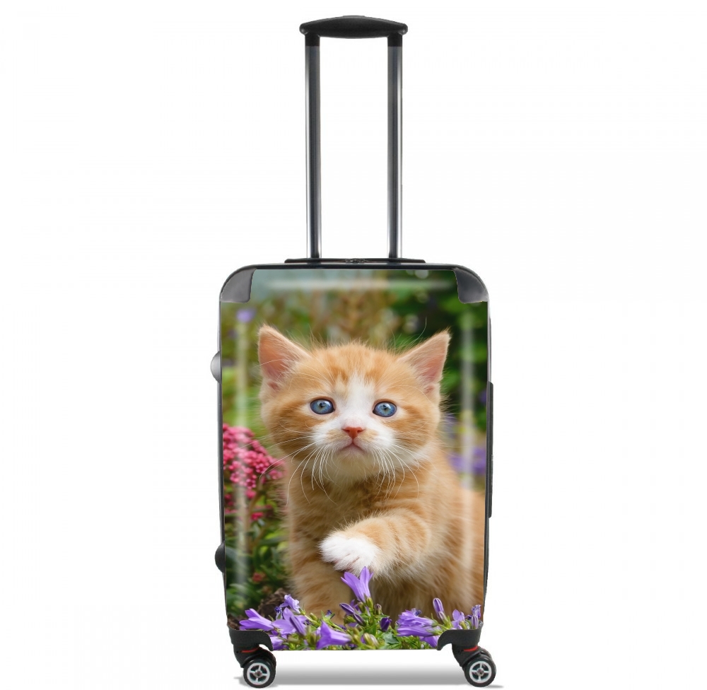 Valise trolley bagage XL pour Bébé chaton mignon marbré rouge dans le jardin