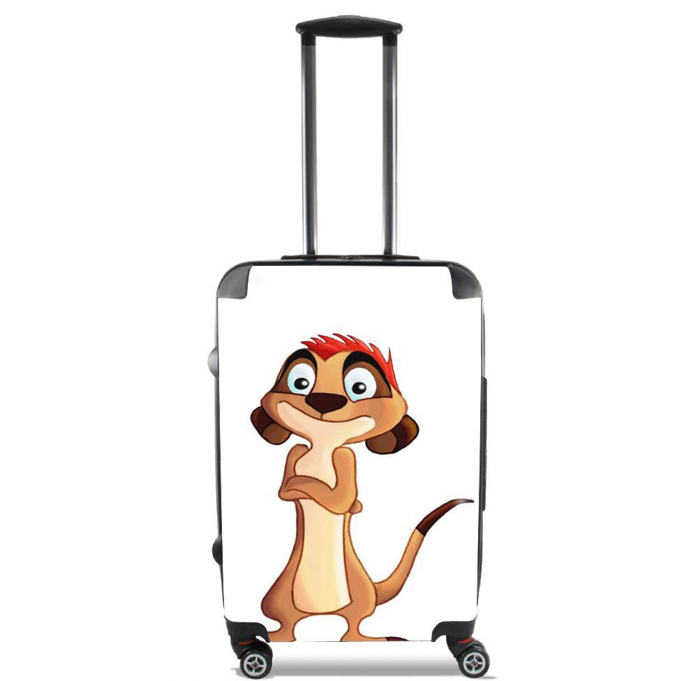 Valise trolley bagage XL pour Timon Plash