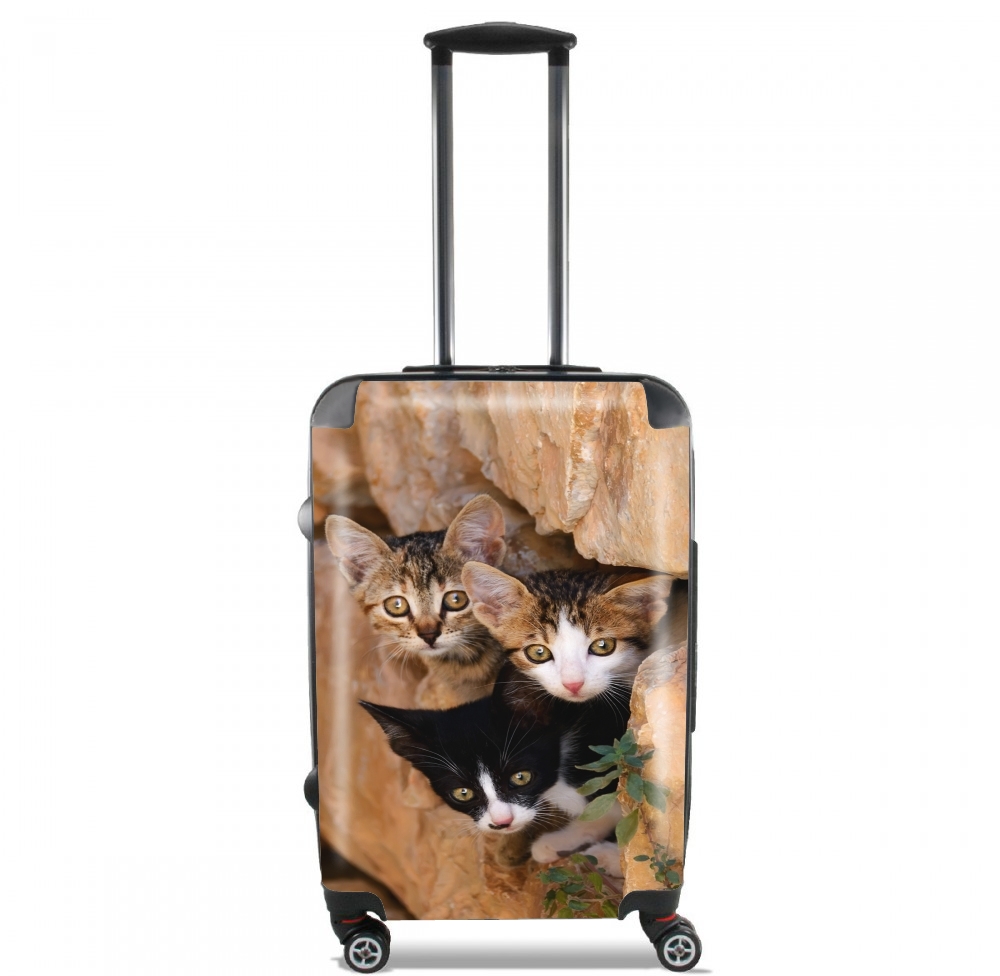 Valise bagage Cabine pour Trois petits chatons mignons dans un orifice d'un mur