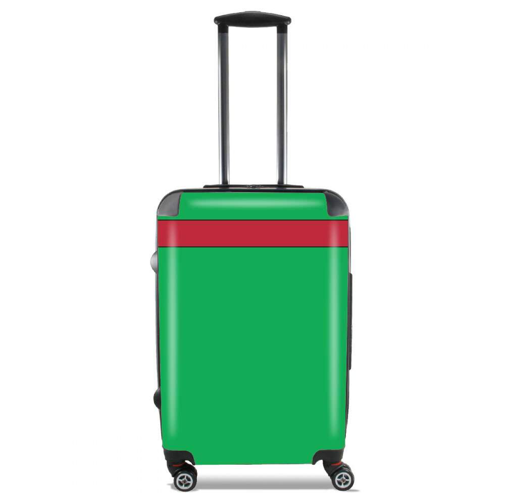 Valise bagage Cabine pour Turtle Raphaello