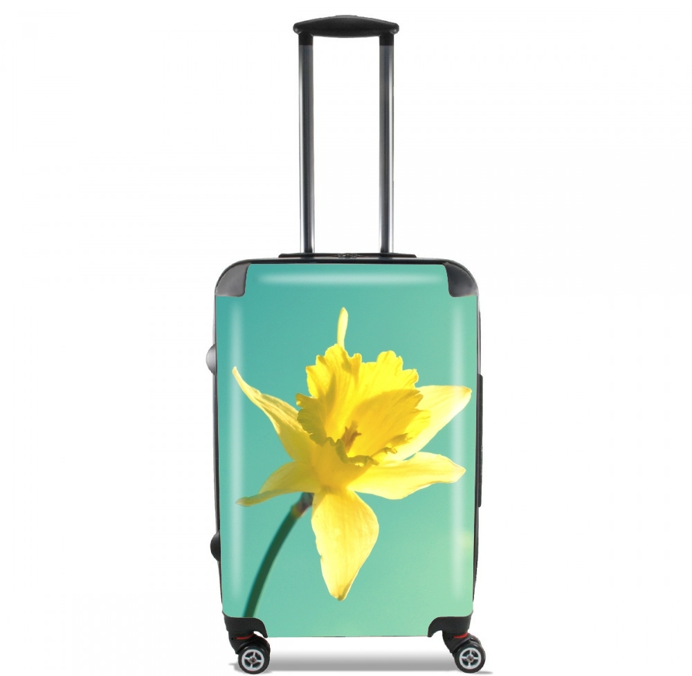 Valise trolley bagage L pour Daffodil