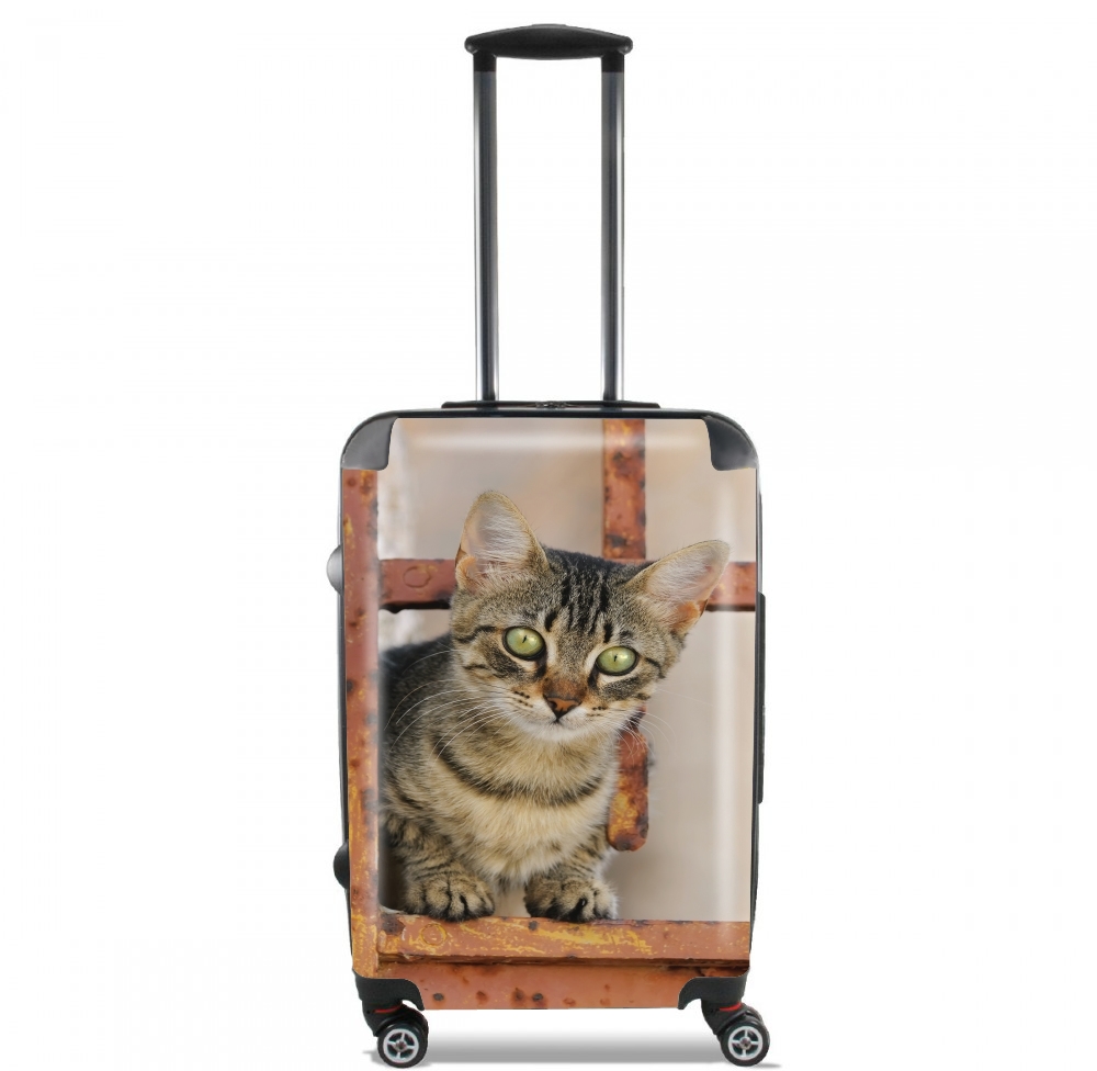 Valise trolley bagage XL pour Chaton dans la porte de jardin rouillé