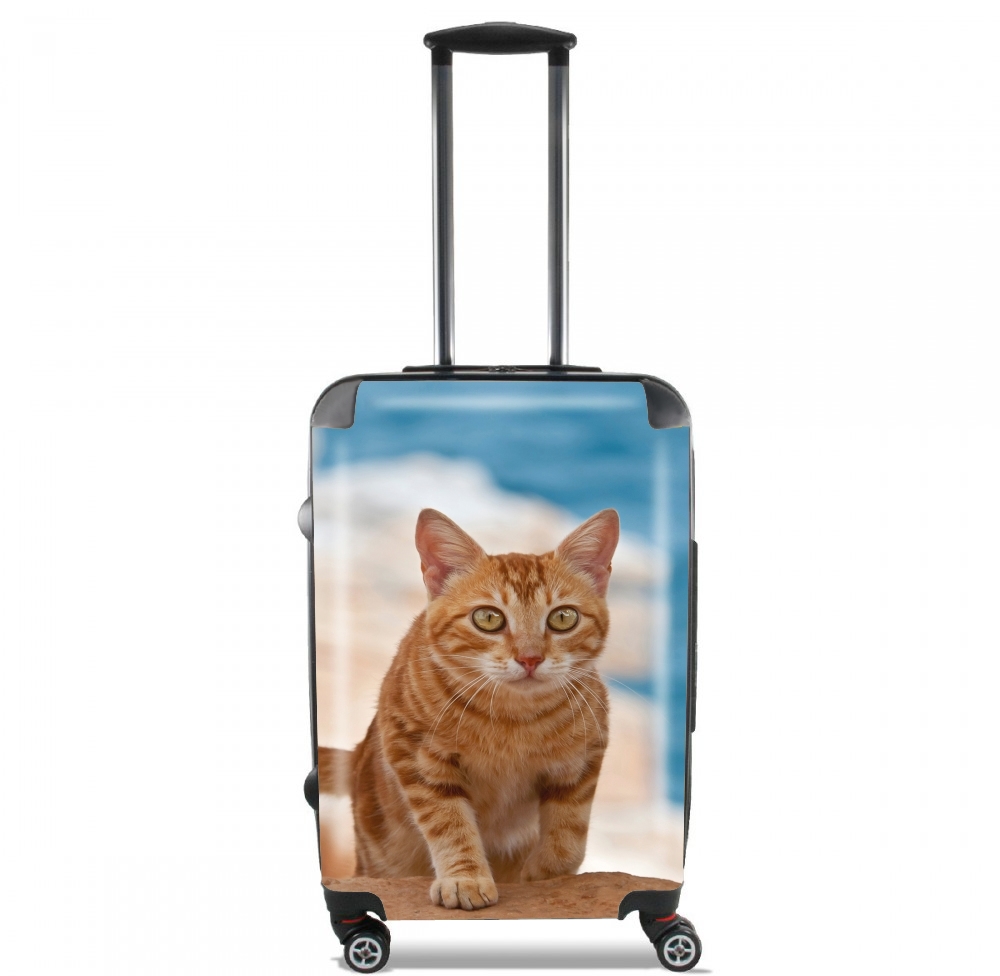 Valise trolley bagage XL pour Chaton marbré rouge sur une falaise