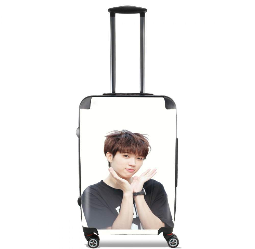 Valise trolley bagage XL pour INFINITE Nam Woohyu